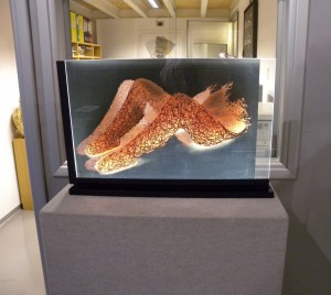 No Title, 2010 